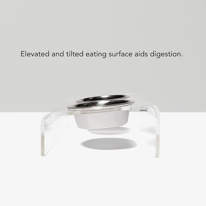 Hiddin Double Slanted Elevated Dog Bowl Stand for Medium or Large Dogs, All Breeds, Clear Acrylic 6 to 7 Inches Raised Dog Bowl Stand with Two Stainless Steel Bowls for Food and Water - 6.5 Cups Dish