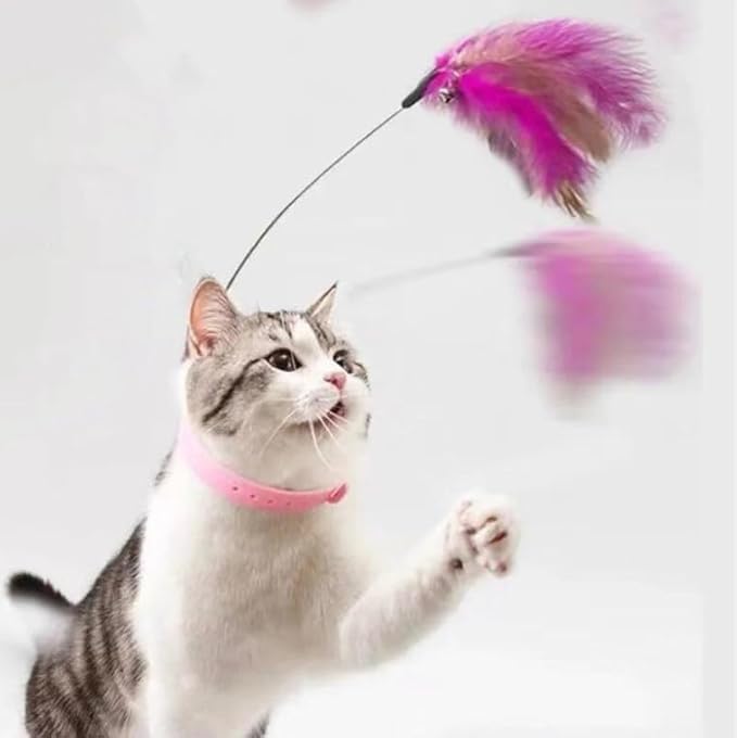 Cat Teaser Kitten Collar Teaser Kitten Teasing Stick Interactive Hands Plume with Collar Bell Self Play Having Fun for Exercise (Pink)