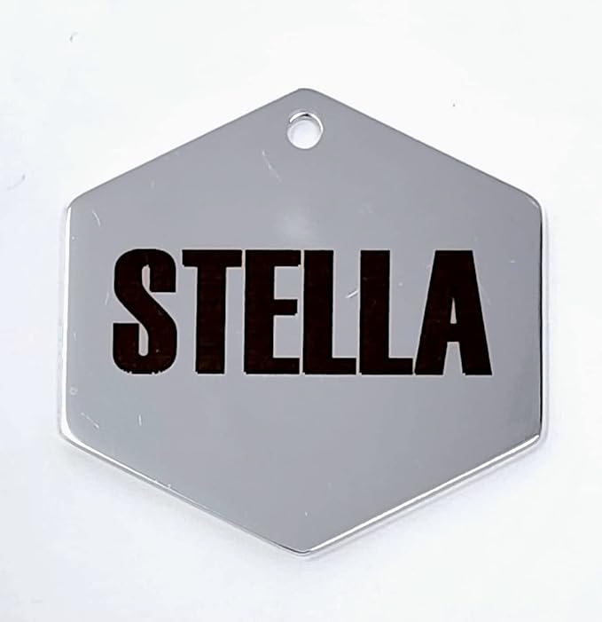 Dr. Fremont's Stainless Steel ID Dog Tags Engraved for Pets Personalized for Cat or Dog Collar Bold Font for Safety (Large, Bone)