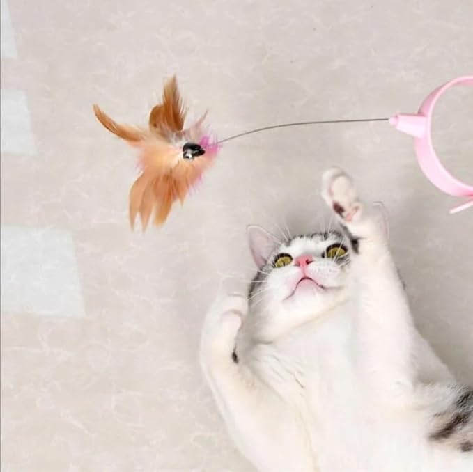 Cat Teaser Kitten Collar Teaser Kitten Teasing Stick Interactive Hands Plume with Collar Bell Self Play Having Fun for Exercise (Pink)