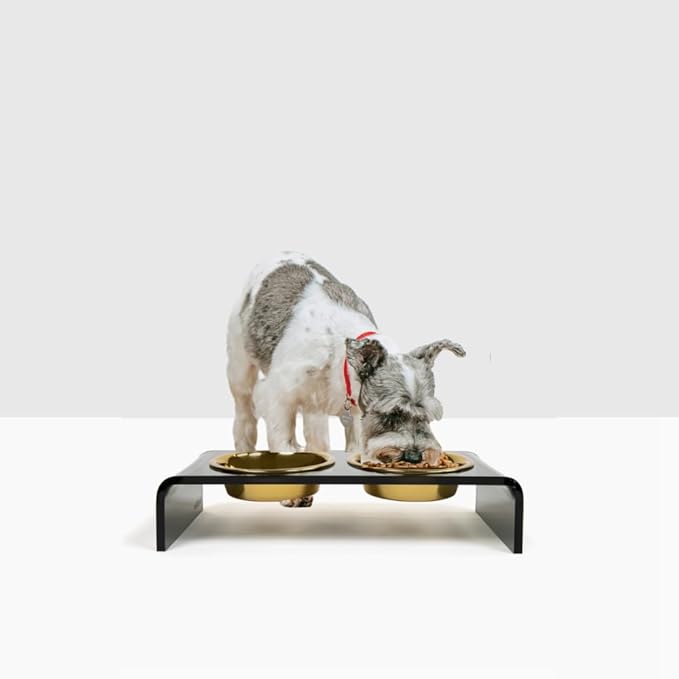Hiddin Double Elevated Dog Bowl Stand for Small or Medium Dogs, All Breeds, Smoke Grey Acrylic 3.5 Inch Raised Dog Bowl Stand with Two Gold Bowls for Food and Water - 1.5 Cups Each Dish