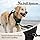 rabbitgoo Dog Harness No Pull with 2 Leash Clips, Adjustable Soft Padded, Reflective Oxford No Choke Pet Vest with Easy Control Handle for Large Dogs, Black, L