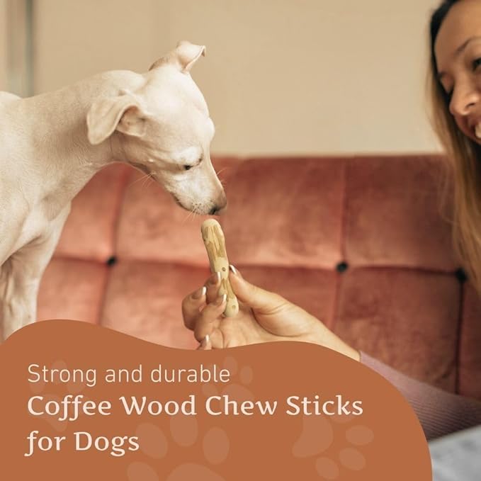 Wildfang® Coffee Wood Dog Chew, XXS – Tough Chew Toys for Aggressive Chewers, Dog Teething Toys for Puppies, Training for Chewing Muscles, Coffee Tree Sticks for XX-Small Dogs (Under 11 lbs)
