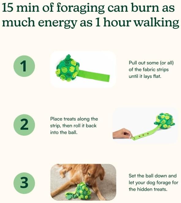 Reggie Forager Ball for Dogs | Interactive Treat Dispensing Toy for Mental Stimulation | Reduces Boredom, Stress & Hyperactivity | Enrichment Ball for Small to Medium Sized Dogs | Durable & Washable
