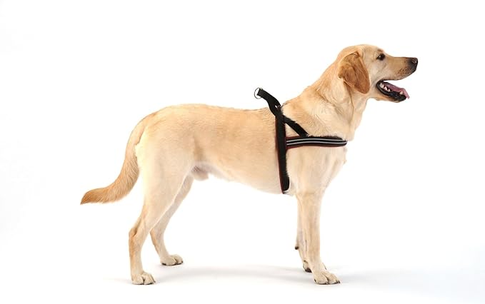ComfortFlex Sport Dog Harness – No-Choke, Fully Padded, Non-Chafing Harness with Control Handle – Reflective, Lightweight, Adjustable for Active Dogs – Medium/Large, Berry