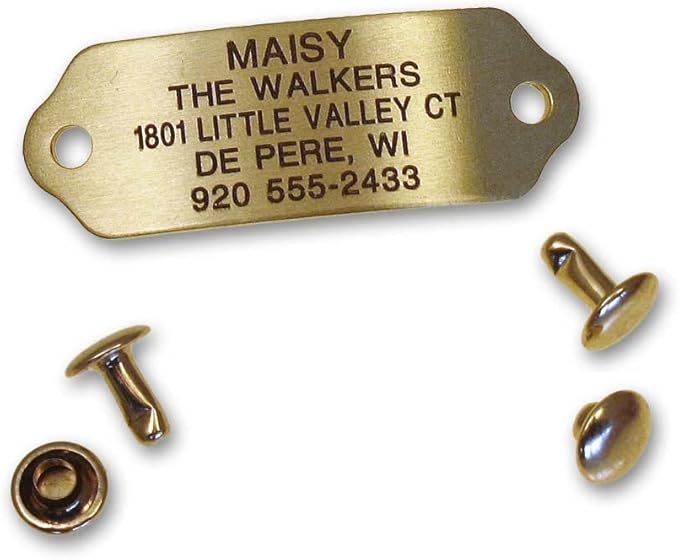 LuckyPet Rivet-On Pet ID Tag - Personalized, Silent and Customized - Suitable for Cats and Dogs - Heavy-Duty Pet Identification - Engraved Tags - Medium, Polished Brass Finish
