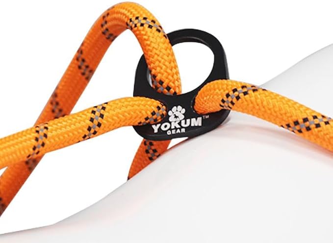 12ft No Pull No Choke Leash Long Rope Dog Leash, Anti Pulling, Dog Leads for Walking, Double Hook & Escape Proof for All Breeds, Reflective Orange
