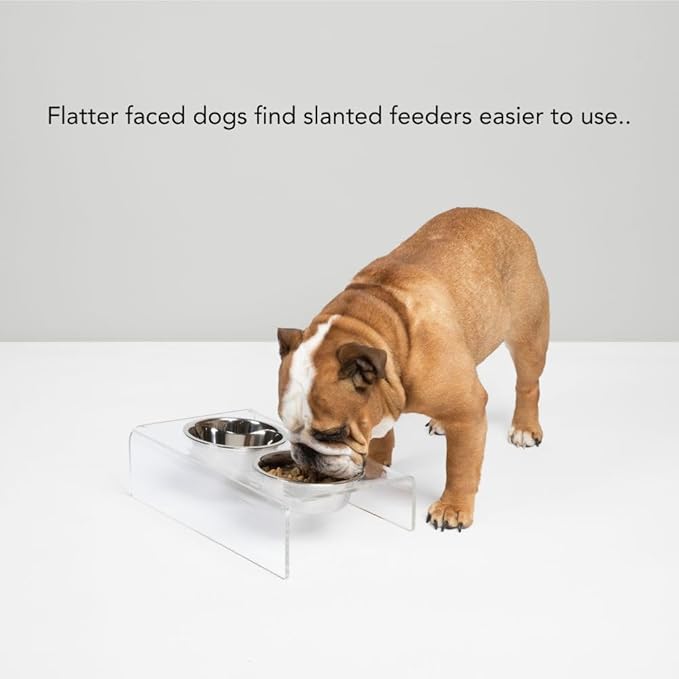 Hiddin Double Slanted Elevated Dog Bowl Stand for Medium or Large Dogs, All Breeds, Clear Acrylic 6 to 7 Inches Raised Dog Bowl Stand with Two Stainless Steel Bowls for Food and Water - 6.5 Cups Dish