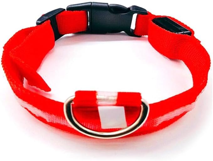 LED Dog Collar – Rechargeable Light Up Dog Collar for Night Walking, Waterproof Adjustable Nylon Pet Safety Collar with USB Charging for Small, Medium, and Large Dogs (Green, Large)