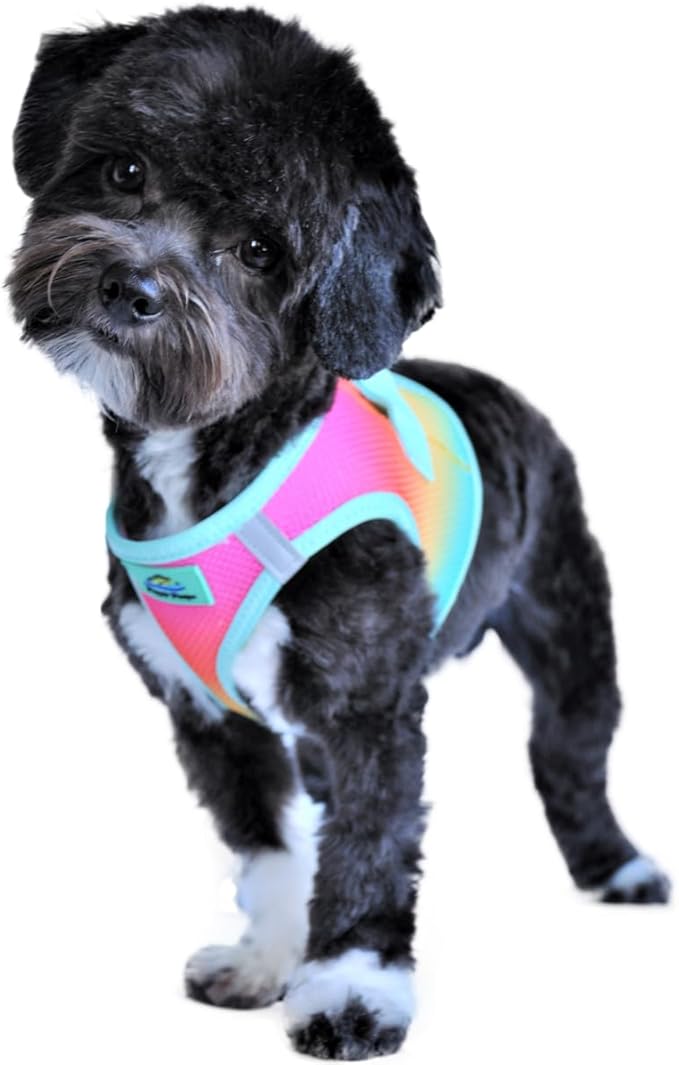Doggie Design No Choke Dog Harness - Simple Step-in and Go Dog Vest for Small, Medium, and Large Breeds - Breathable Mesh Polyester Pet Harness - Beach Party - M