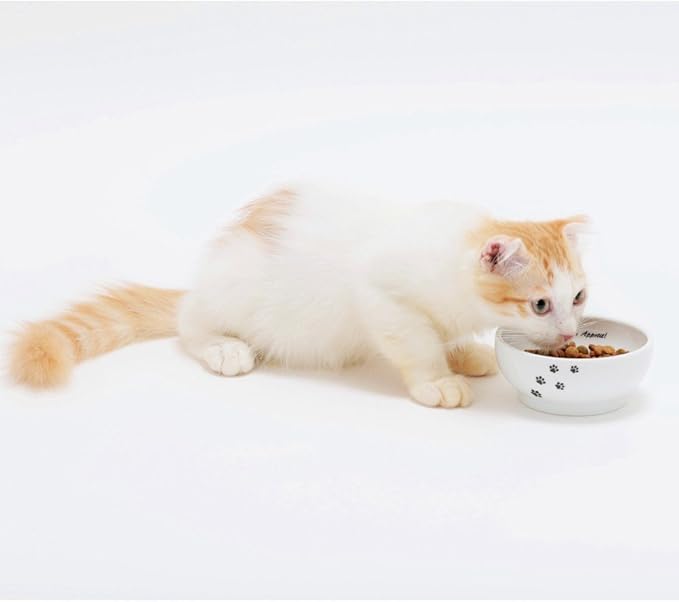 Necoichi Cat Food Bowl & Water Bowl - Shallow Wide Cute Cats Dish - Prevents Neck & Whisker Fatigue - Dishwasher & Microwave Safe - No Spill Ceramic Cat Bowl for Indoor Cats & Kittens (Paw Style)