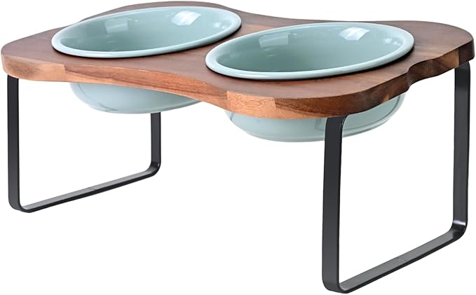 SPUNKYJUNKY Ceramic Elevated Tilted Dog Bowls Bone-Shaped Raised with 2 Height Iron Stand, 6.9'' Dog and Cat Food Water Bowls Set Non-Slip for Small Medium Sized Breed - 20 OZ,Light Green