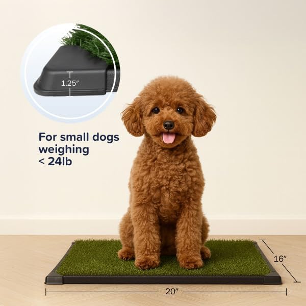 Artificial Grass Puppy Pee Pad for Dogs and Small Pets - 16x20 Inch, Reusable 3-Layer Potty Training Pad with Tray - Dog House and Pet Supplies by PETMAKER