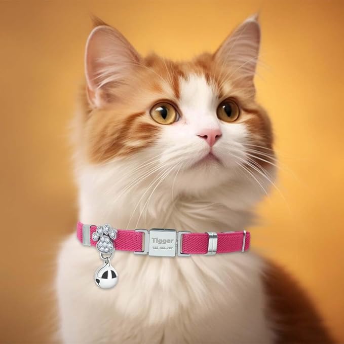 Personalized Safety Elastic Cat Collars with Bell,Laser Customized Stretch Kitten Collars for Girls Boys Cats-Rose red