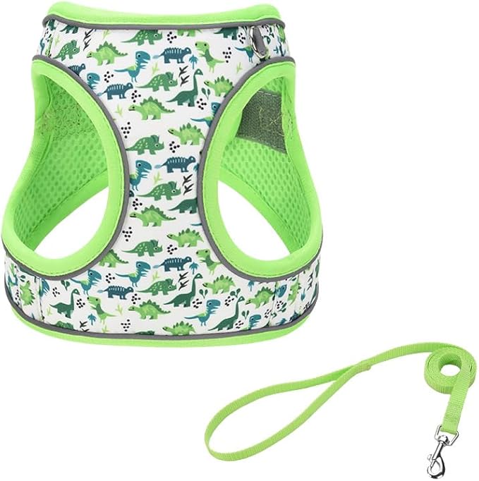 XXS Green Dinosaur Pattern Dog Harness and Leash Set,No Escape Puppy Harnesses for Training Walking，Breathable Adjustable Puppy Vest for Small Medium Dogs, Cats (Green, XXS)