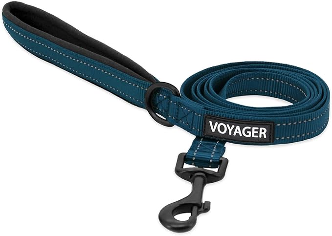 Best Pet Supplies Voyager Reflective Dog Leash or Collar with Neoprene Handle, for Small, Medium, and Large Breed Puppies, Cute and Heavy Duty for Walking, Running and Training - Blue (Leash), L