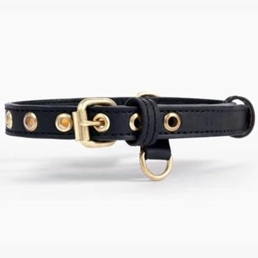 Two Tails Pet Company Cactus Vegan Leather Dog Collar, Adjustable Pet Collar with Gold Hardware and D Rings for Leash and ID Tag for Dogs and Puppies, Easy to Clean & Eco Friendly, Black, Size Small