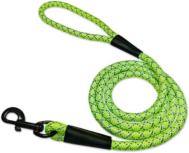 Noxgear LightHound (Medium) + High-Visibility Dog Leash – Illuminated and Reflective Harness for Dogs Including Multicolored LED Fiber Optics (USB Rechargeable, Adjustable, Lightweight, Rainproof)