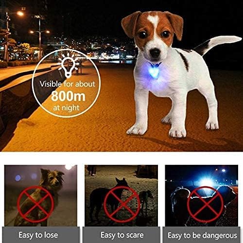 LaRoo LED Dog Collar Lights for Nighttime, Clip On Light up Dog Collar Walking Flashlight (Orange-A)