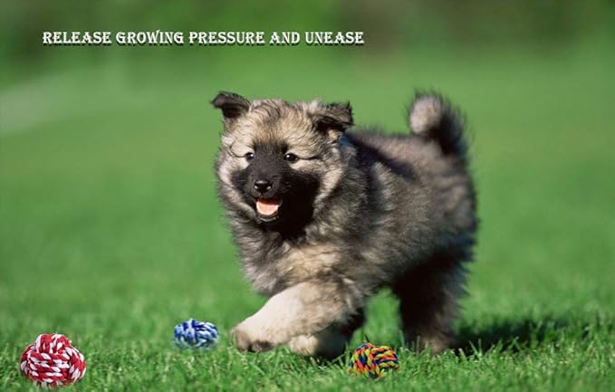 Wellbro Pet Chew Toy, Knots Weave Cotton Rope, Biting Small Ball for Dogs & Cats, 3 in One Pack
