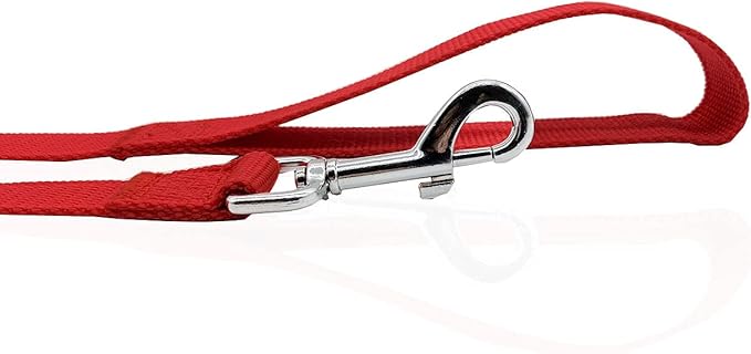 Nylon Dog Leash 16 Feet Long, Walking Training Dog Leashes for Medium Large Dogs（1" X 16 ft，Red）