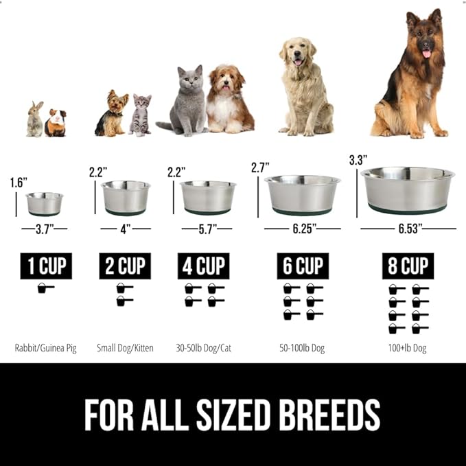 GORILLA GRIP Dog Bowls, Holds 2 Cups Each (16 fl oz), Heavy Duty Stainless Steel Food and Water Bowl for Feeding Dogs and Cats, Dishwasher Safe, Rust Resistant, BPA Free Rubber Base, Set of 2 Green