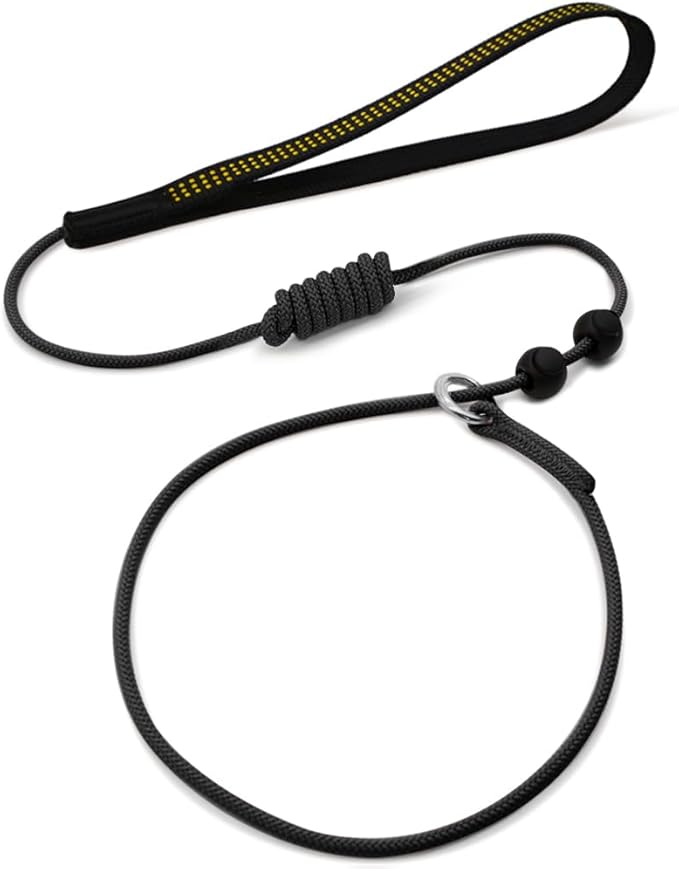 BeauGo| Slip Leads for Dogs| Dog Training Leash,Thin Leads Rope specifically Designed for Dog Training and NGKC Competition,Sturdy and Durable,Ultimate Training,Suitable for All Dogs.Slip Leash 3.7FT