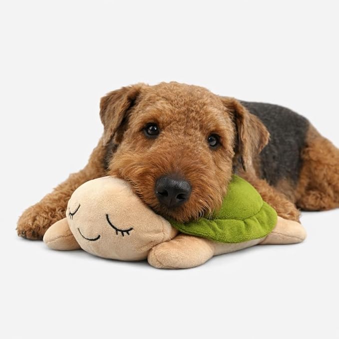 NANDOG My BFF Ivy The Turtle Plush Dog Toy – Soft Squeaky Pet-Only Toys for Dogs & Cats – Durable, Cuddly & Adorable Pet Companions for Playtime, Fetch & Snuggles