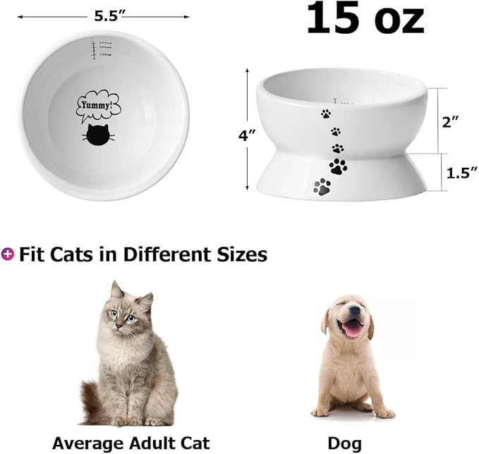 Y YHY Elevated Cat Food Bowl, Raised Food and Water Bowl for Cat and Small Dog, Tilted Ceramic Water Bowls No Spill,15oz, Dishwasher Safe
