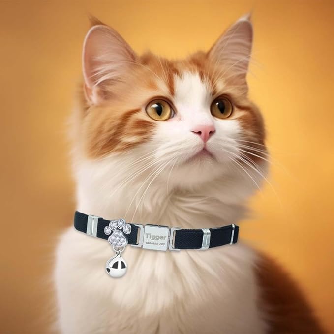 Personalized Safety Elastic Cat Collars with Bell,Laser Customized Stretch Kitten Collars for Girls Boys Cats-Black