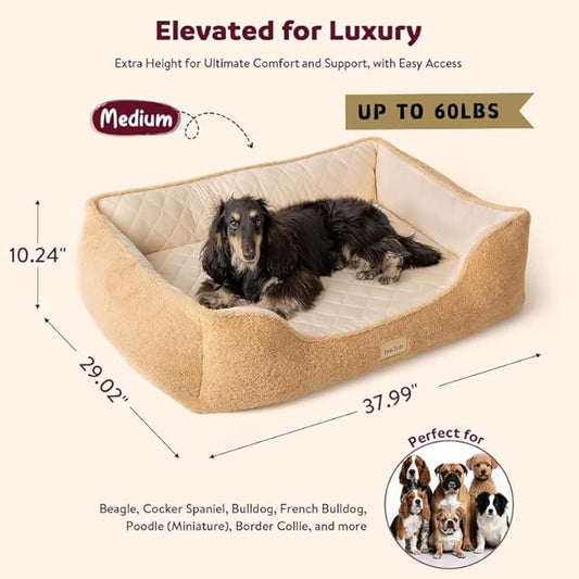 Self-Warming Orthopedic Dog Bed Medium Size Dogs - Memory Foam for Joint Pain & Arthritis, Comfort Pet Bed w/Washable Removable Cover & Waterproof Liner, Dog Couch w/Raised Bolster & Non-Slip Base