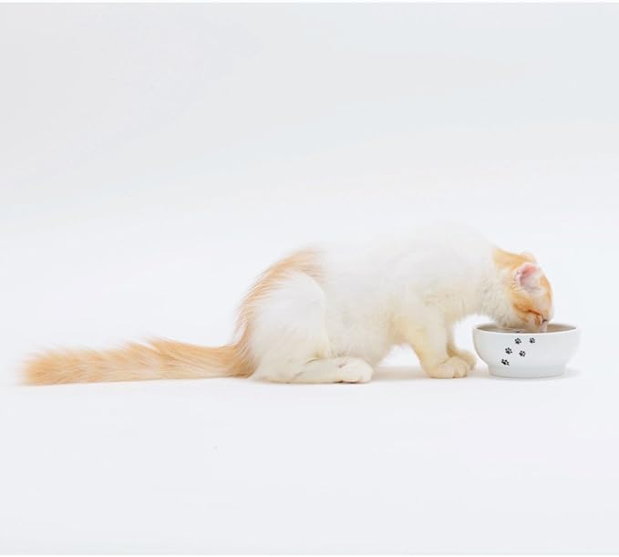 Necoichi Cat Food Bowl & Water Bowl - Shallow Wide Cute Cats Dish - Prevents Neck & Whisker Fatigue - Dishwasher & Microwave Safe - No Spill Ceramic Cat Bowl for Indoor Cats & Kittens (Paw Style)