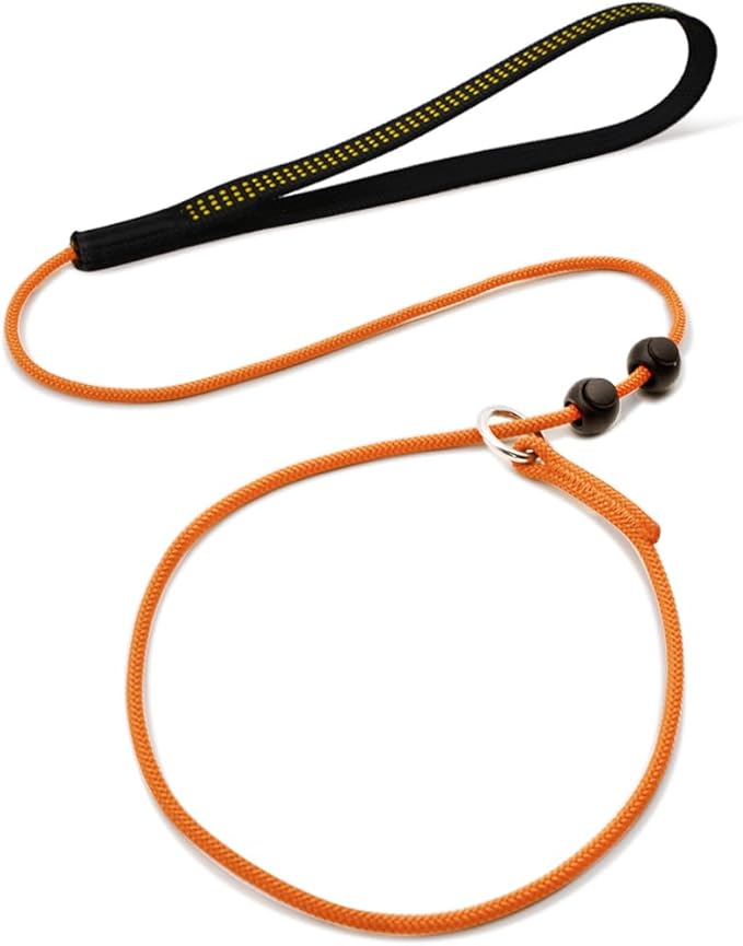 BeauGo|Slip Leads For Dogs|Dog Training Leash|2-In-1Training lead & Collar,Thin rope specifically designed for dog training and NGKC competition,Sturdy and durable,Suitable for all dogs,Dog leash3.6FT