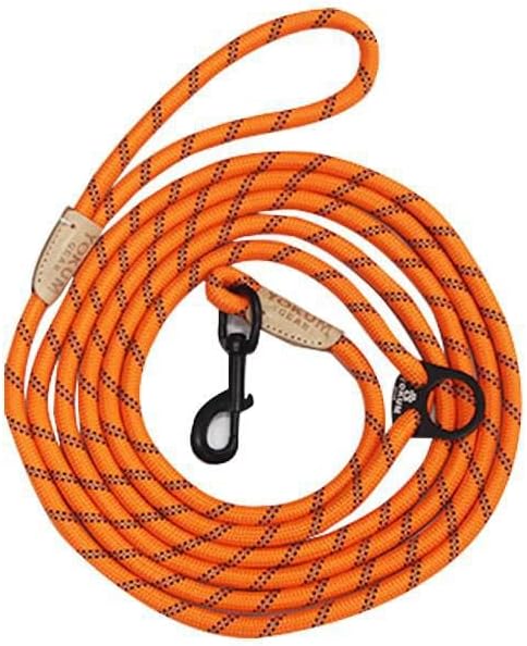 12ft No Pull No Choke Leash Long Rope Dog Leash, Anti Pulling, Dog Leads for Walking, Double Hook & Escape Proof for All Breeds, Reflective Orange