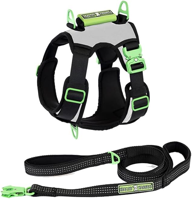 Supreme Sport Dog Harness with Leash - No Choke/Pull/Escape Dog Harness with Adjustable Padding, Easy On/Off, High Strength Buckles, Emergency Handle and 3 Connect Points (Silver, M)