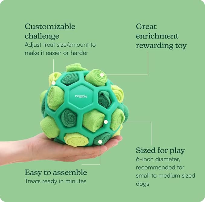 Reggie Forager Ball for Dogs | Interactive Treat Dispensing Toy for Mental Stimulation | Reduces Boredom, Stress & Hyperactivity | Enrichment Ball for Small to Medium Sized Dogs | Durable & Washable