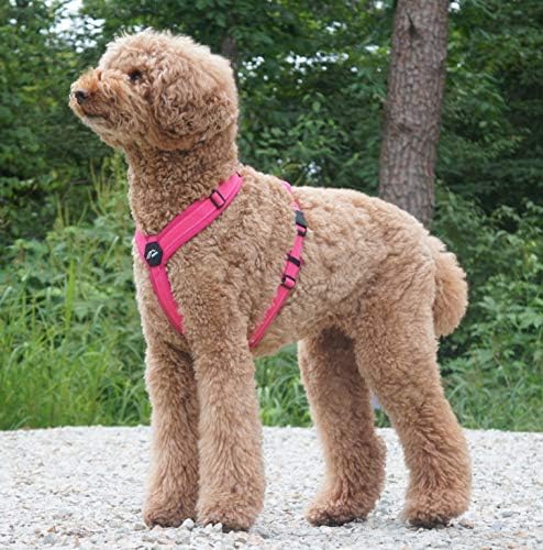 [白山:Hakusan] Zero Dog Harness Basic Type, Safe - No chocking/Hard to Disconnect, Great fit - Easy Put on and Off/Adjustable, Reflector, M - Medium Dog, Two-Tone Pink x Pink