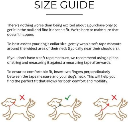 Two Tails Pet Company Cactus Vegan Leather Dog Collar, Adjustable Pet Collar with Gold Hardware and D Rings for Leash and ID Tag for Dogs and Puppies, Easy to Clean & Eco Friendly, Black, Size Large