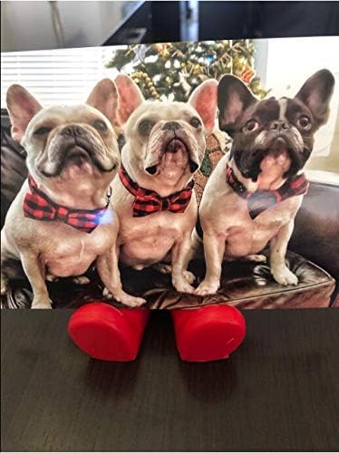 Unique style paws Cotton Dog Collar with Bow Puppy Collar with Black Red Plaid for Small Medium Large Boys Girls Dogs