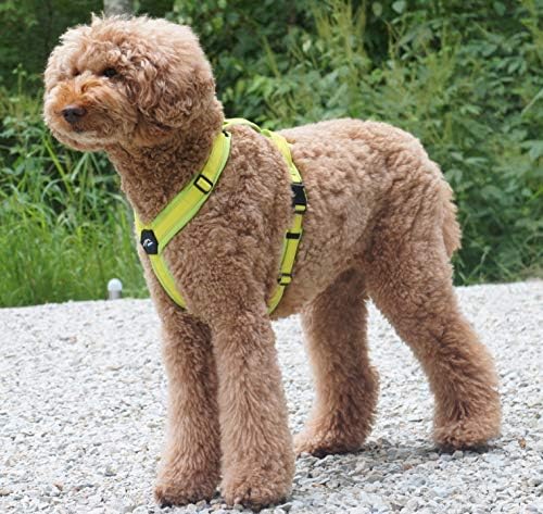 [白山:Hakusan] Zero Dog Harness Basic Type, Safe - No chocking/Hard to Disconnect, Great fit - Easy Put on and Off/Adjustable, Reflector, L - Large Dog, Two-Tone Lime x Yellow