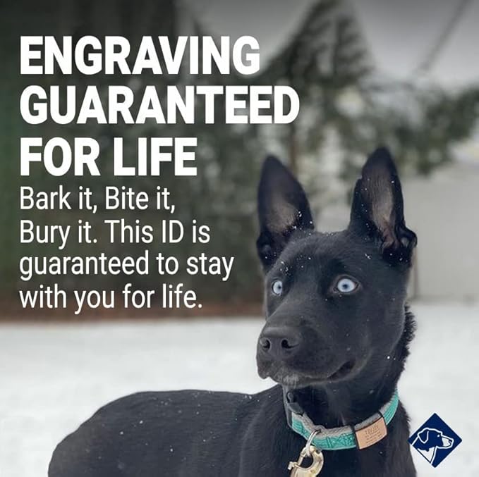 Personalized Dog Tags by ROAD iD | Silent & Durable | Jingle-Free Slide-On Design | Stainless Steel Name Tag Fits Any Collar | Multiple Colors & Sizes for Your Pet's Unique Style