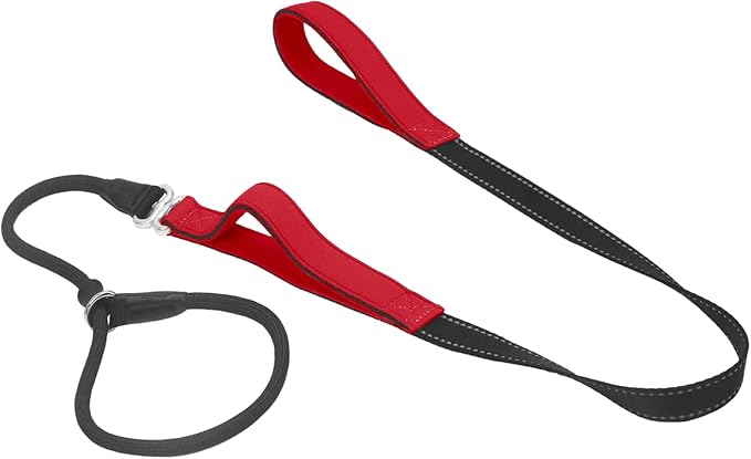 Slip Lead Dog Leash With Double Handle, Reflective Training [360 Swivel Anti-Tangle] Heavy Duty Nylon Slip and Collar for Medium Large Small Dogs No Pull Walking 5FT Black Red