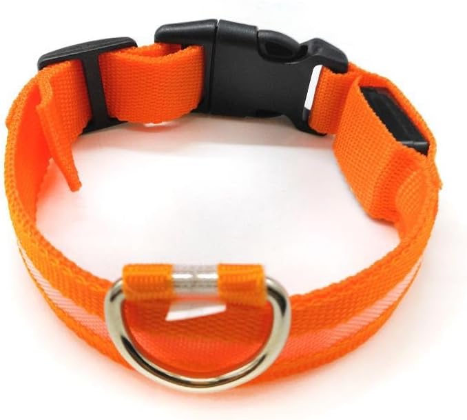 LED Dog Collar – Rechargeable Light Up Dog Collar for Night Walking, Waterproof Adjustable Nylon Pet Safety Collar with USB Charging for Small, Medium, and Large Dogs (Green, Large)