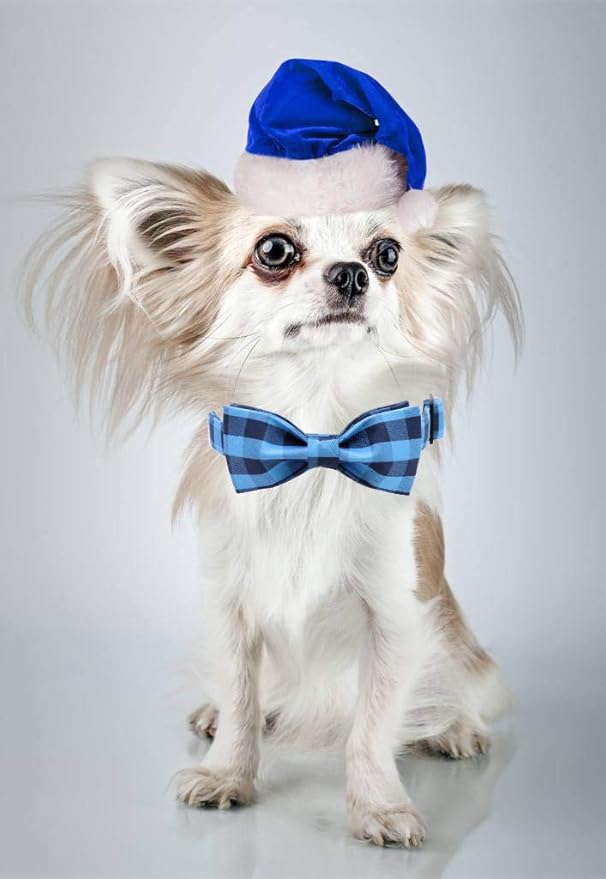 Unique style paws Cotton Dog Collar with Bow Puppy Collar with Black Blue Grid for Small Medium Large Boys Girls Dogs