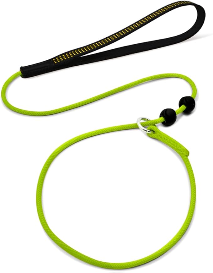 BeauGo|Slip Leads For Dogs|Dog Training Leash|2-In-1Training lead & Collar,Thin rope specifically designed for dog training and NGKC competition,Sturdy and durable,Suitable for all dogs,Dog leash3.6FT