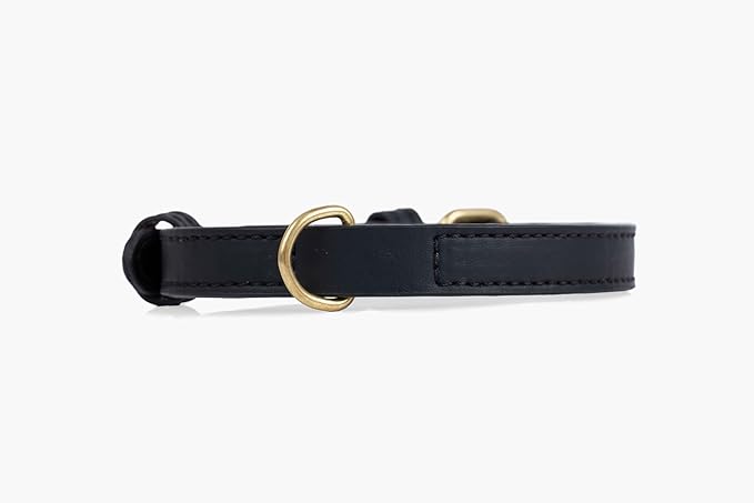 Two Tails Pet Company Cactus Vegan Leather Dog Collar, Adjustable Pet Collar with Gold Hardware and D Rings for Leash and ID Tag for Dogs and Puppies, Easy to Clean & Eco Friendly, Black, Size Large