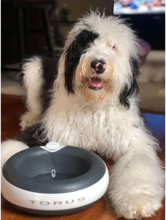 TORUS Filtered Portable Dog Water Dispenser [Upgraded 2025], 2L / 68oz, Automatic Pet Water Dispenser Noise-Free No Spill Water Bowl for Dogs, No Power Needed, Ideal for Medium & Large Pets