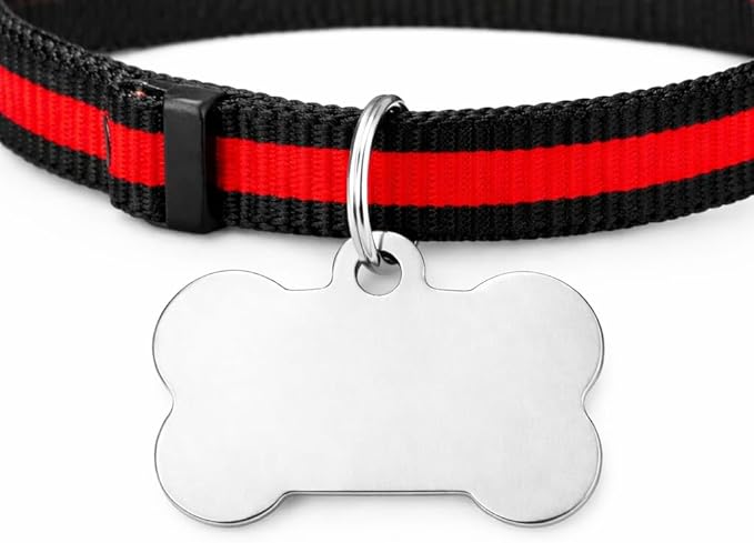 Custom Stainless Steel Dog Tag – Laser Engraved Pet ID Tag, Shiny Polished Metal, Lightweight & Affordable, Personalized for Dogs & Pets (Large, Silver)
