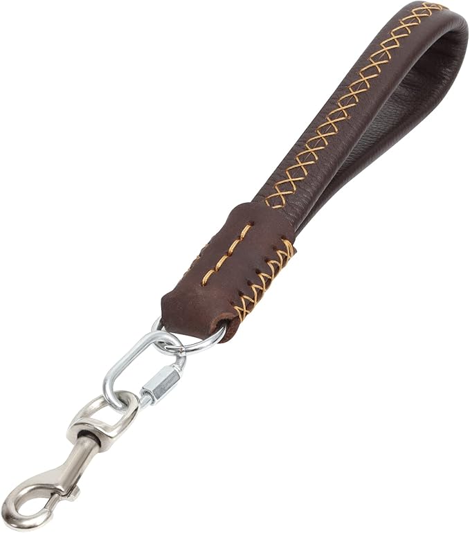 Guiding Star Short Leather Dog Leash - Traffic Leash for Large & Medium Dogs - Training & Walking (12"*3/4", Brown)