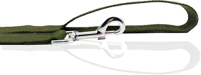 Nylon Dog Leash 16 Feet Long, Walking Training Dog Leashes for Medium Large Dogs(1" X 16 ft, Green)